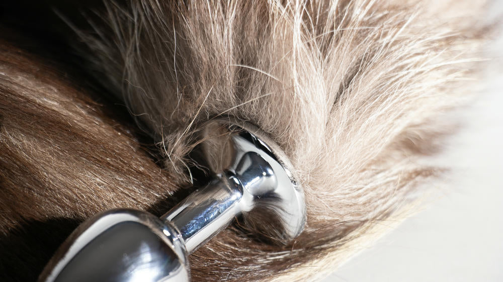 Cola de Zorra Plug Anal – Fantasía, Estilo y Placer en un Solo Producto